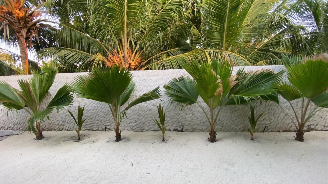 Oasis Village Fenfushi, Maldives Экстерьер фото