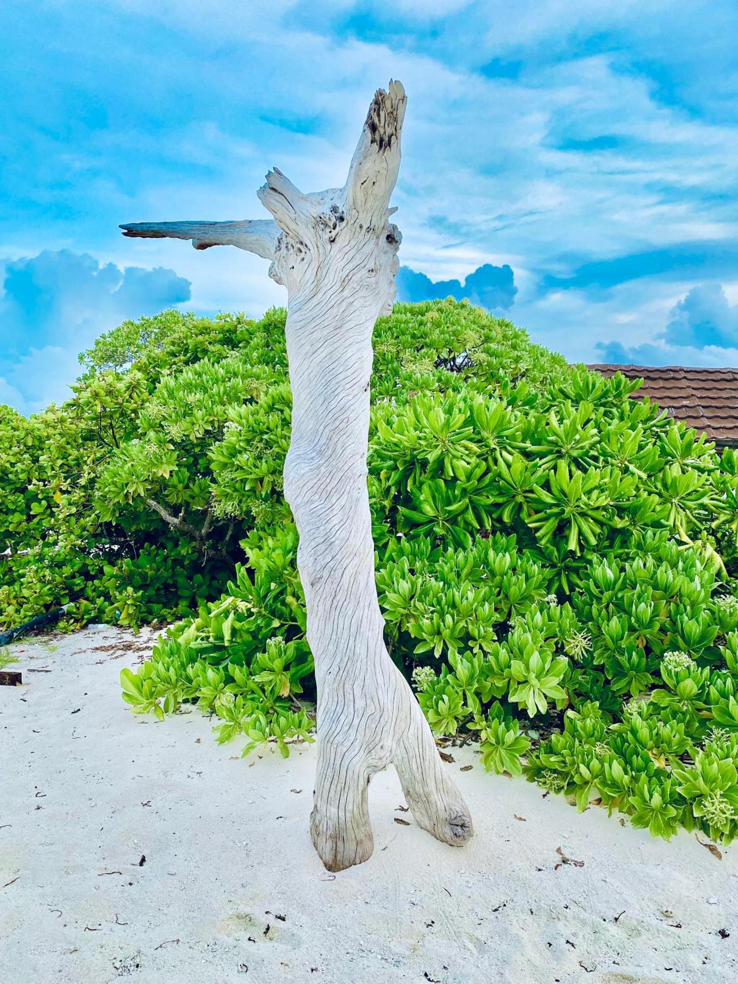 Oasis Village Fenfushi, Maldives Экстерьер фото